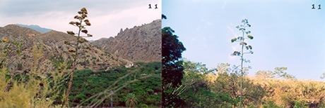 María Victoria Portelles, Cartografías dobles (Blanca-Alamar), fotografías