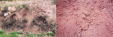 María Victoria Portelles, Cartografías dobles (Blanca-Alamar), fotografías