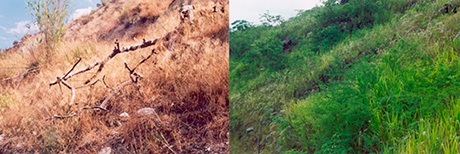 María Victoria Portelles, Cartografías dobles (Blanca-Alamar), fotografías