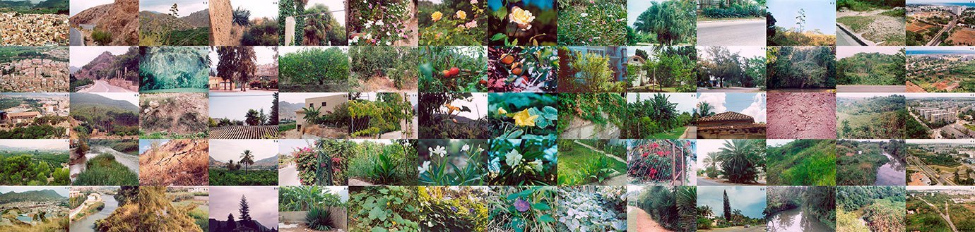 María Victoria Portelles, Cartografías dobles (Blanca-Alamar), fotografías