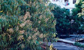 María Victoria Portelles, La casa y la ciudad, fotografías.