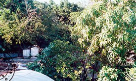 María Victoria Portelles, La casa y la ciudad, fotografías.
