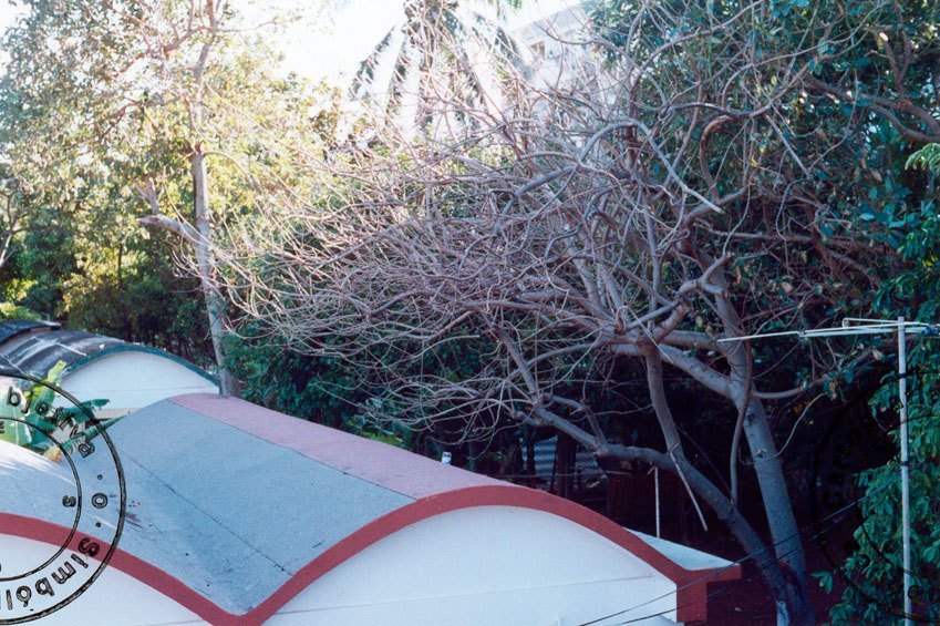 María Victoria Portelles, La casa y la ciudad, fotografías.