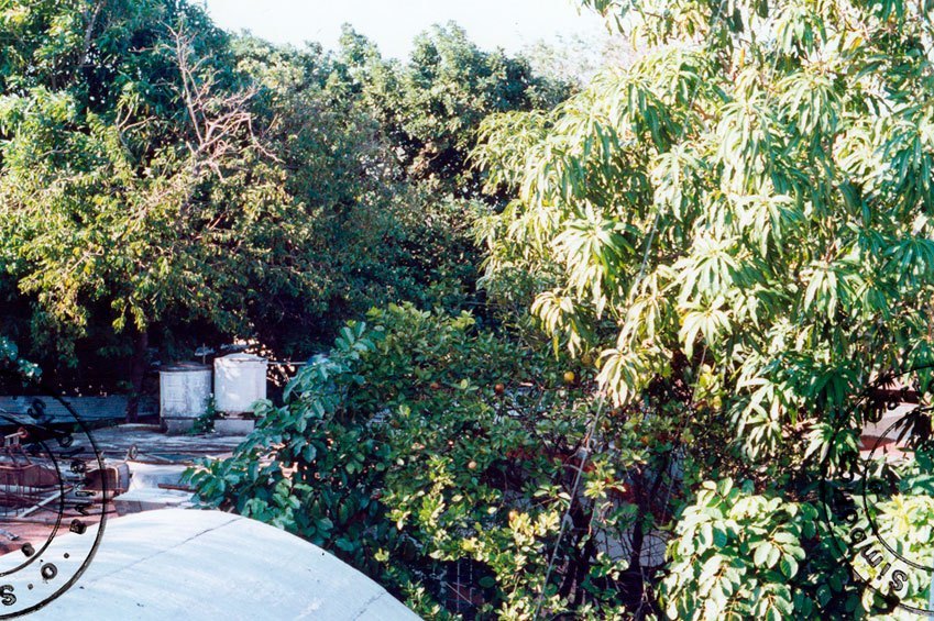 María Victoria Portelles, La casa y la ciudad, fotografías.