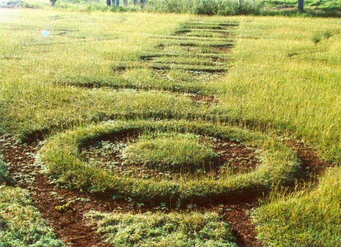 María Victoria Portelles, Destino n.° 2 (Jabalpur)