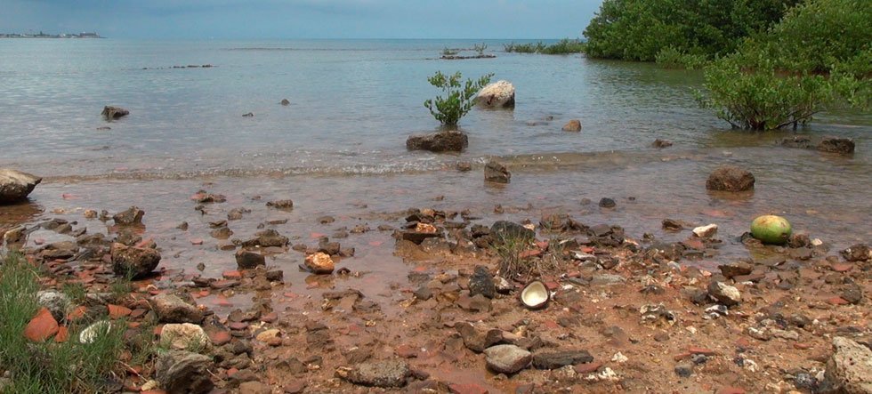 María Victoria Portelles, El mundo entre dos orillas